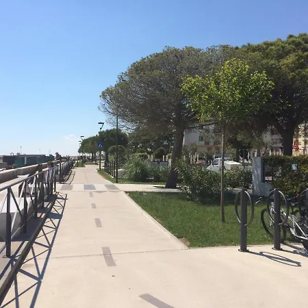 Torino - * ביביונה